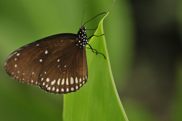 Similar image 7841746