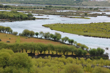 Similar image 7841752