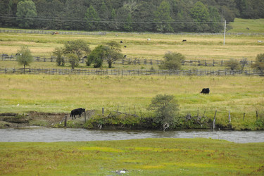 Similar image 7841753