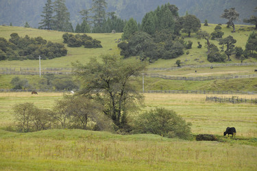 Similar image 7841754