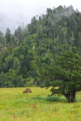 Similar image 7841758