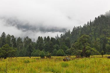 Similar image 7841759