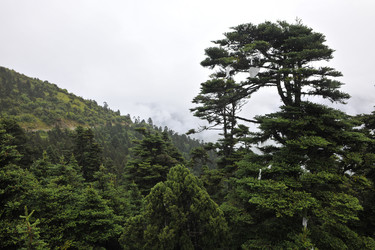 Similar image 7841797