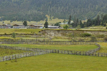 Similar image 7841799