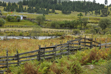 Similar image 7841801