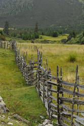 Similar image 7841802