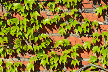 Similar image 7842073