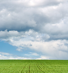 Similar image 7842155