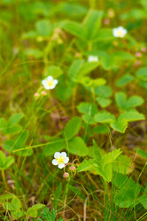 Similar image 7842163