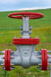 Similar image 7842164