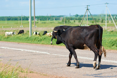 Similar image 7842168