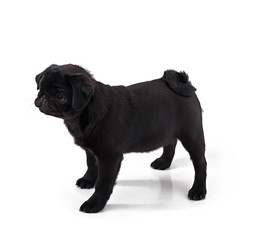 Similar image 7842357