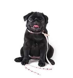 Similar image 7842358