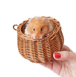 Similar image 7842370