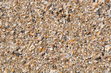 Similar image 7842446