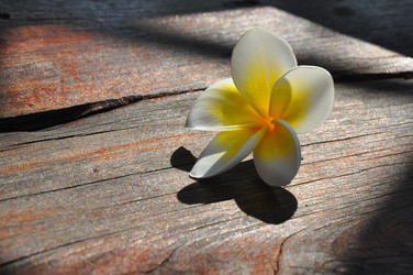 Similar image 7842450