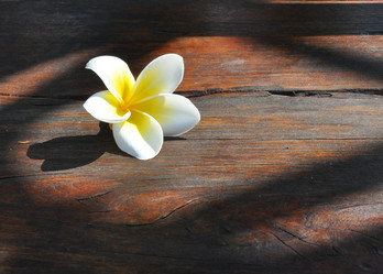 Similar image 7842452