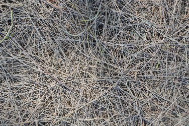 Similar image 7842455