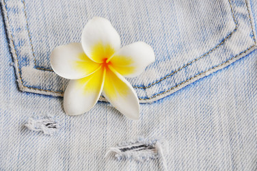 Similar image 7842461