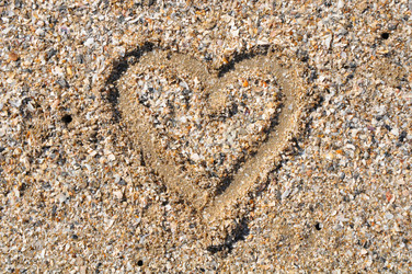 Similar image 7842462