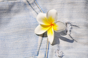 Similar image 7842463