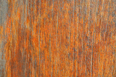 Similar image 7842466