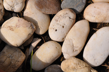 Similar image 7842473