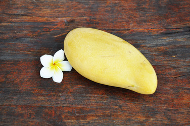 Similar image 7842476