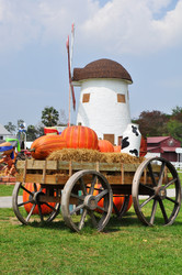 Similar image 7842487