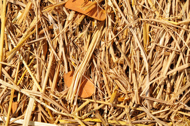 Similar image 7842492