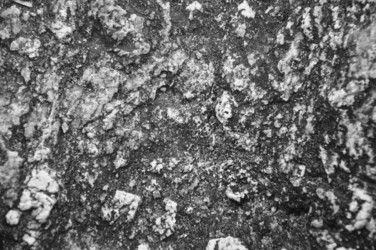 Similar image 7842499