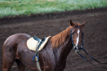 Similar image 7842506