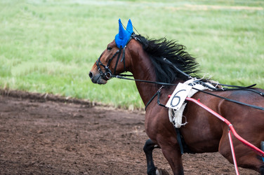 Similar image 7842507