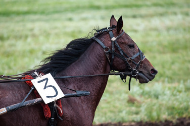 Similar image 7842509