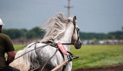 Similar image 7842510