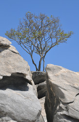 Similar image 7842521