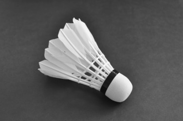 Similar image 7842543