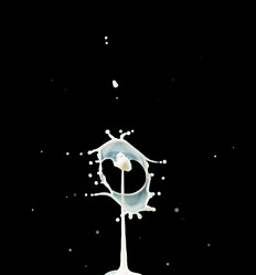 Similar image 7842553