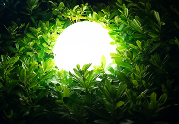 Similar image 7842571