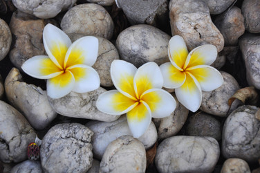 Similar image 7842735