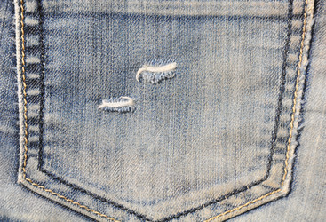 Similar image 7842739