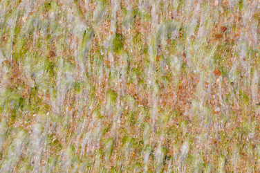 Similar image 7842742