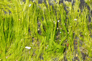 Similar image 7842743