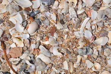 Similar image 7842744