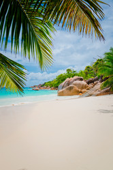 Similar image 7842751