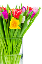 Similar image 7842753