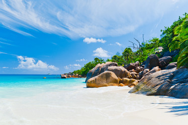 Similar image 7842767