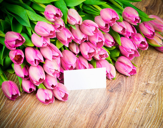 Similar image 7842770