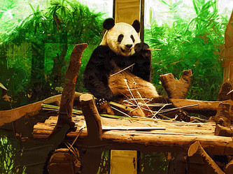 Similar image 7843021