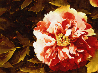 Similar image 7843072